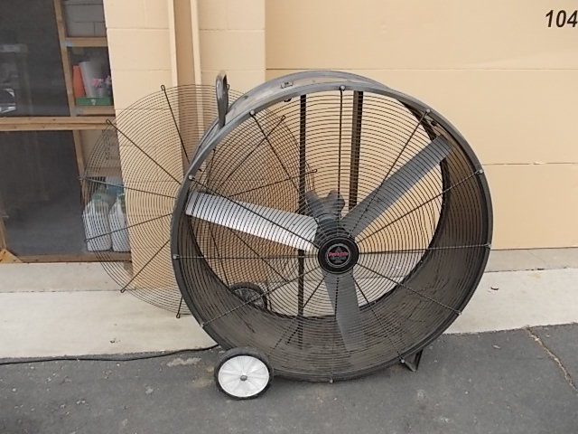 Fan