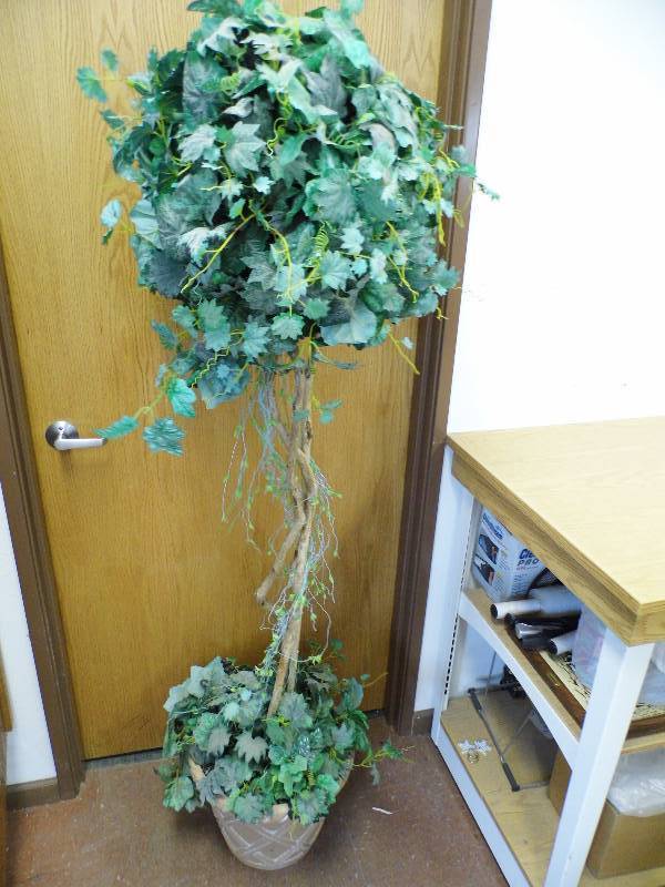 6 Tree