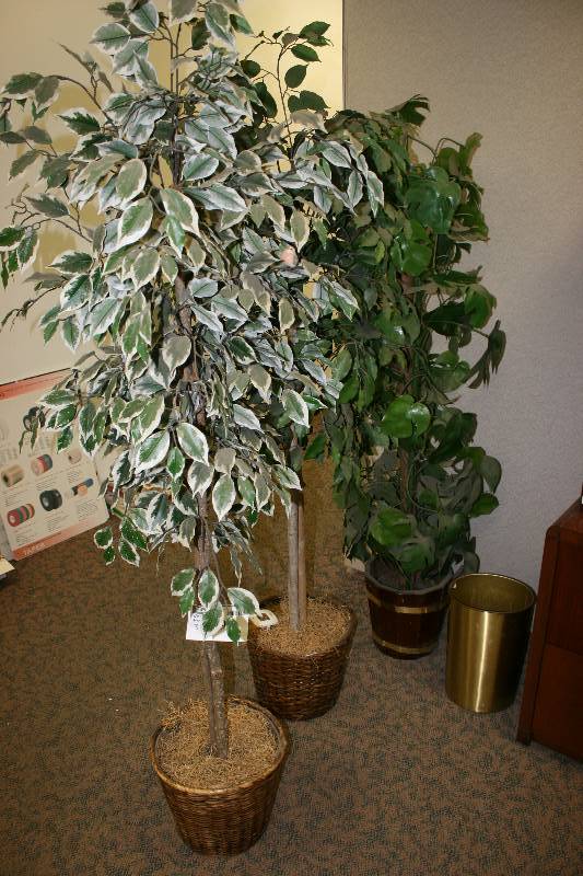 lot 1091 image: Lot of (3) Artificial Decorative Trees wPots.