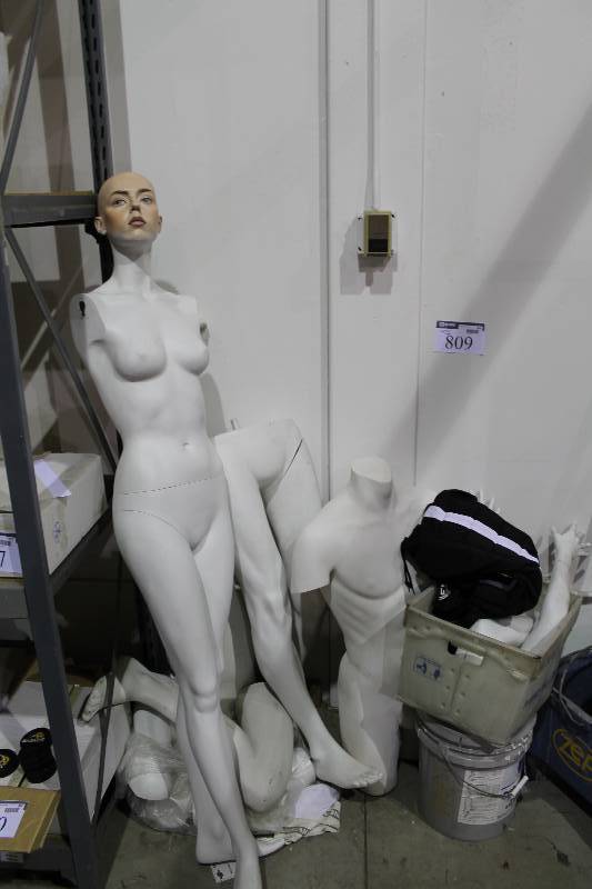 lot 809 image: Corner Lot of Miscellaneous Mannequin Pieces Includes D-Gel Pants.