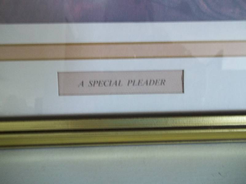 A Special Pleader