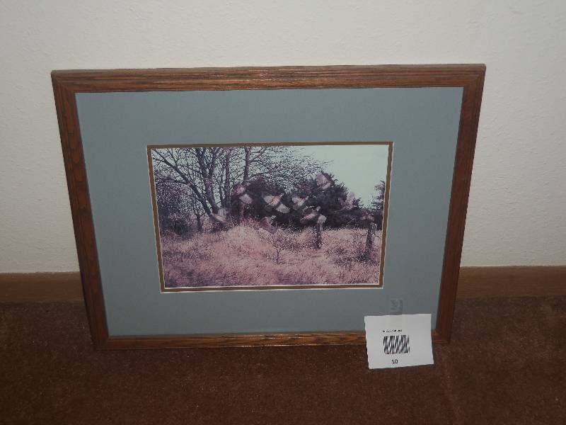 Pheasant Print