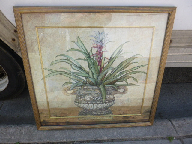 lot 36 image: Cactus Framed Picture