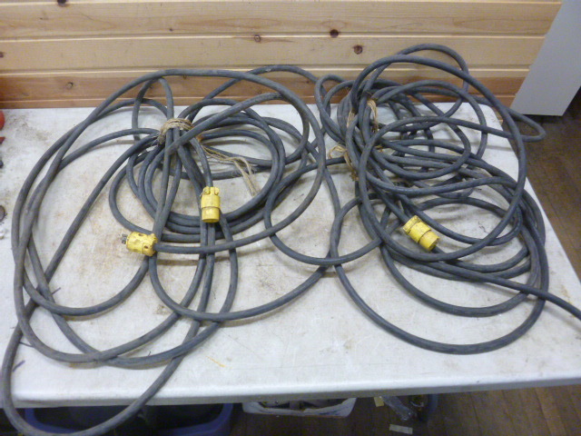 lot 160 image: 2 Extension Cords
