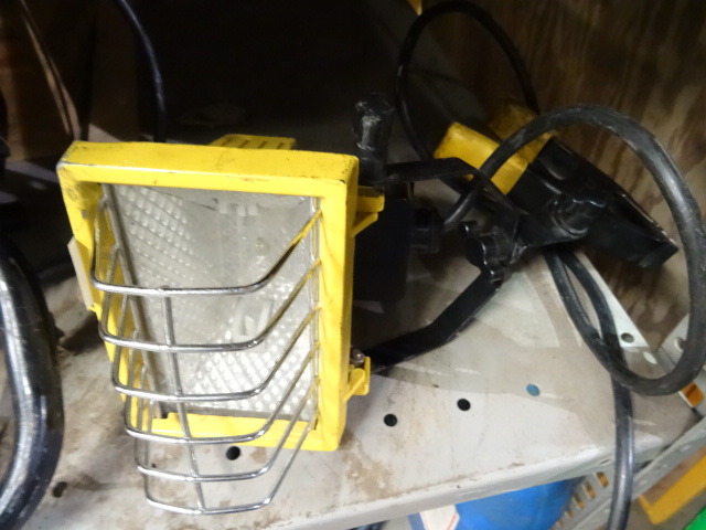 Halogen Shop Light