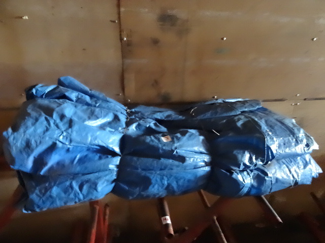 Tarp