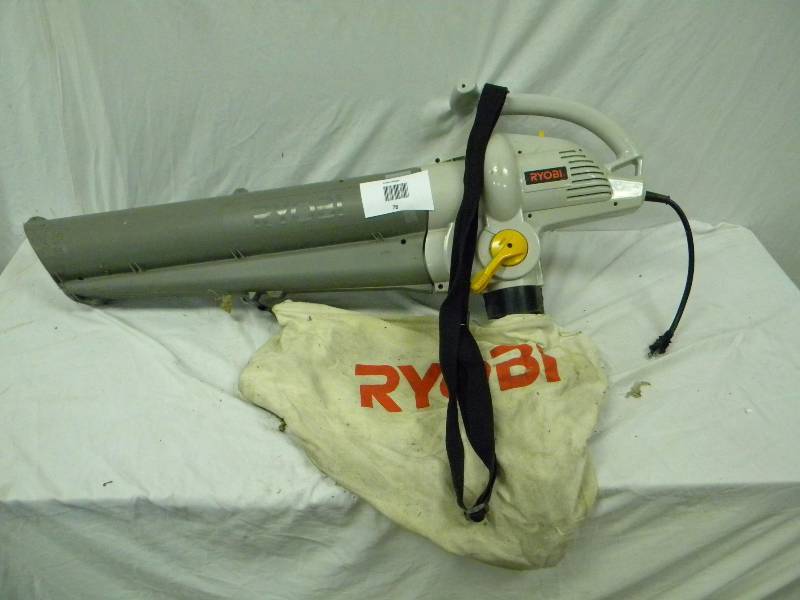 lot 78 image: Ryobi Lawn and leaf Blower