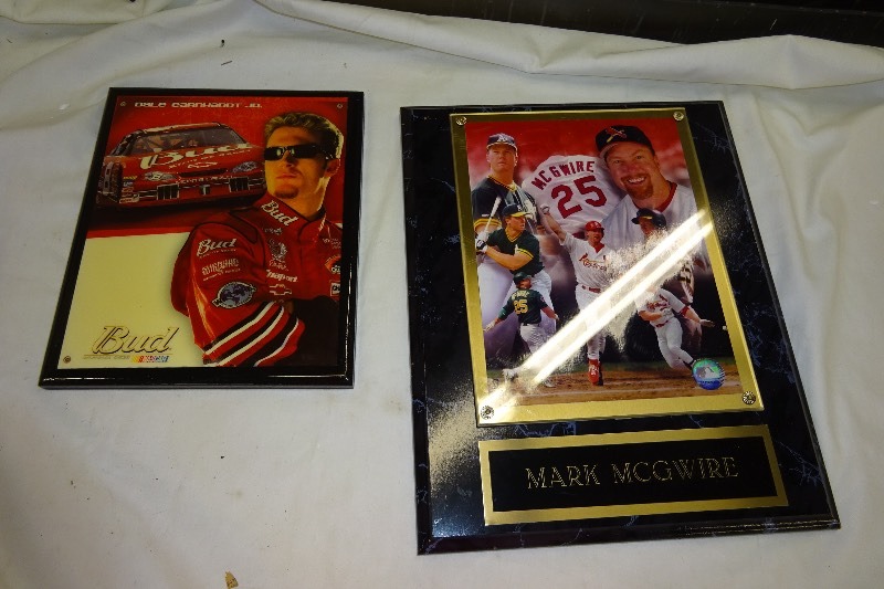 lot 127 image: Dale Earnhardt Jr picture