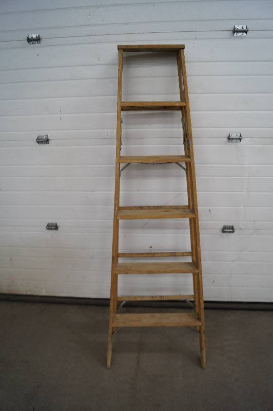 lot 44 image: Step Ladder
