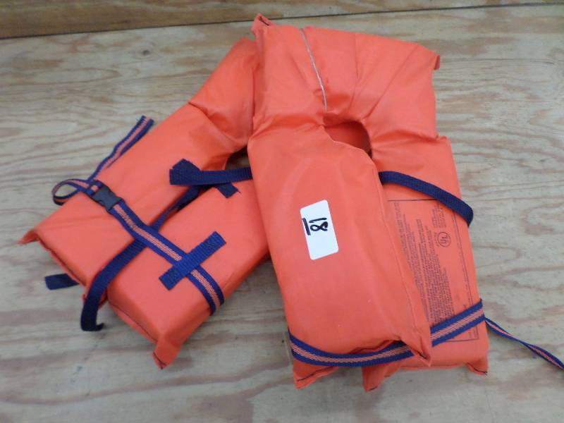 lot 18 image: (2) Toddler Life Vests ...