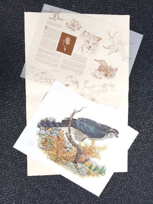 lot 23 image: Hand signed, Portfolio of wildlife prints large lot of 5