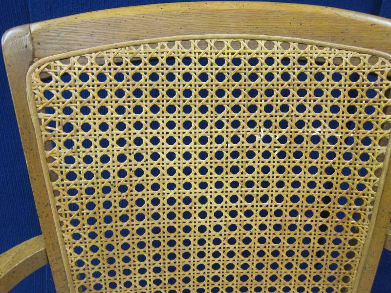 Cushioned Arm Chair