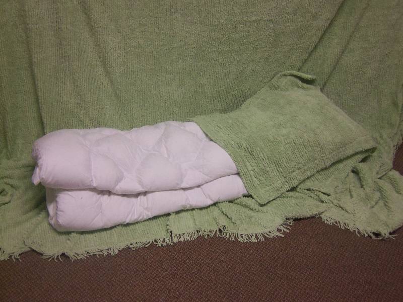 Bed spread and mattress pad