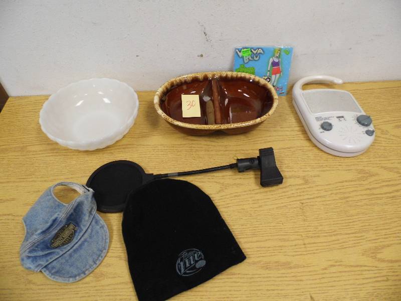 Harley Davidson Dog Hat, Shower Radio