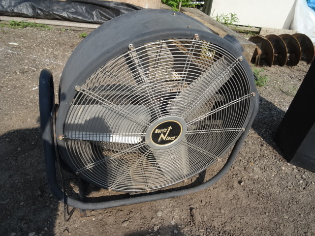Fan