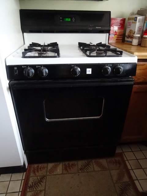 lot 10 image: Gas Stove