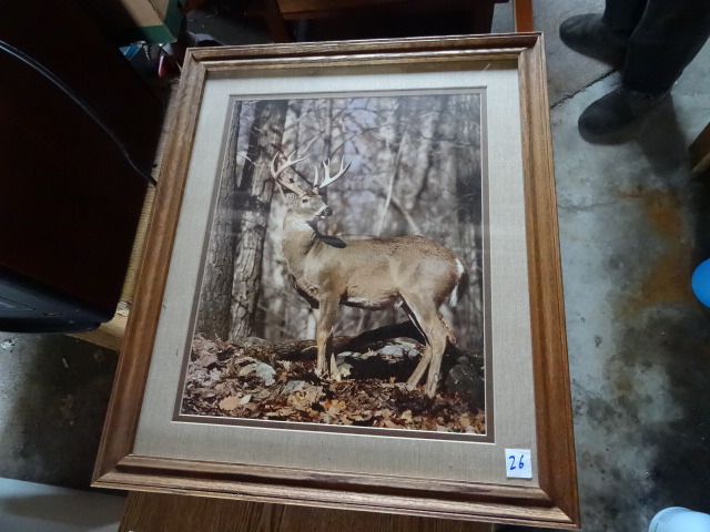 lot 26 image: Buck Photo
