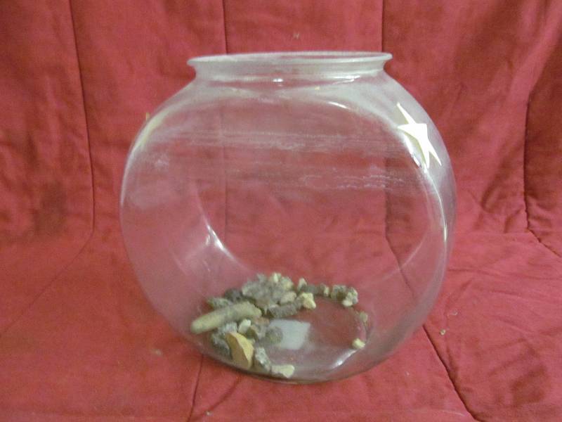 Fish Bowl