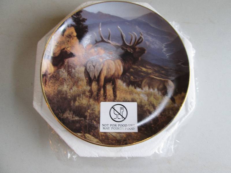 picture of a moose from north ameri...