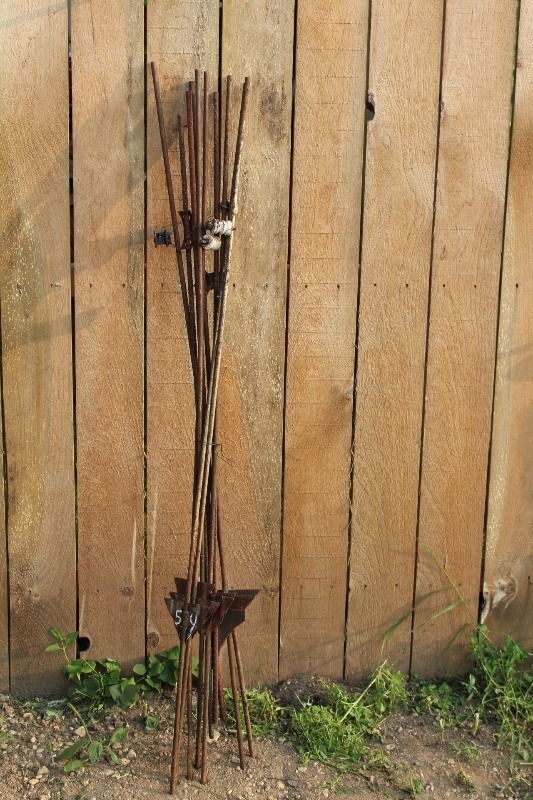 lot 54 image: 10 Count Electric Fence Posts