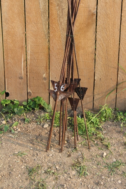 lot 56 image: 10 Count Electric Fence Posts