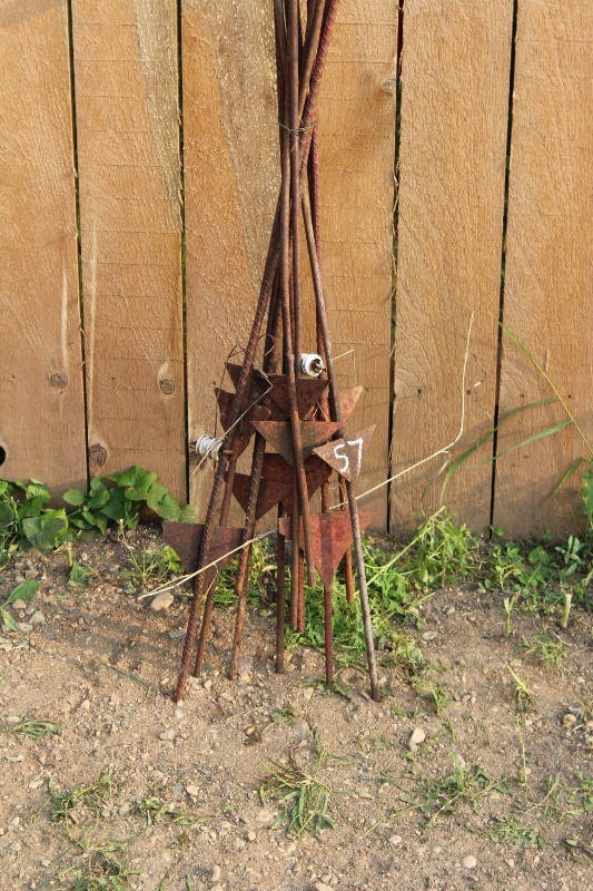 lot 57 image: 10 Count Electric Fence Posts