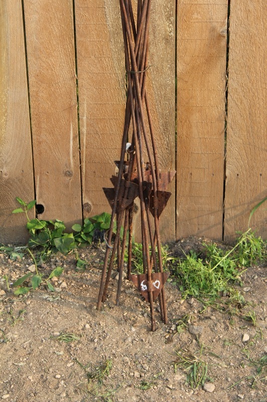 lot 60 image: 10 Count Electric Fence Posts