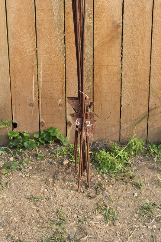 lot 62 image: 10 Count Electric Fence Posts