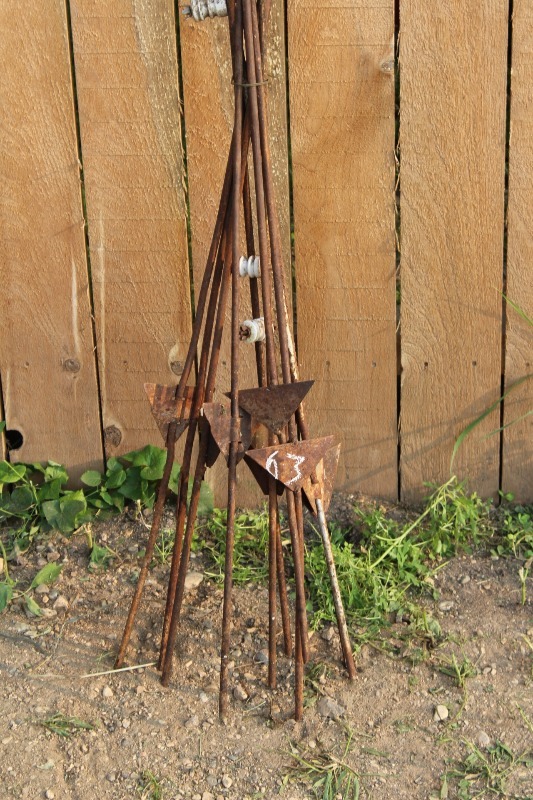 lot 63 image: 10 Count Electric Fence Posts