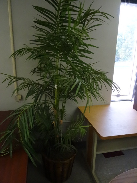 Artificial Plant