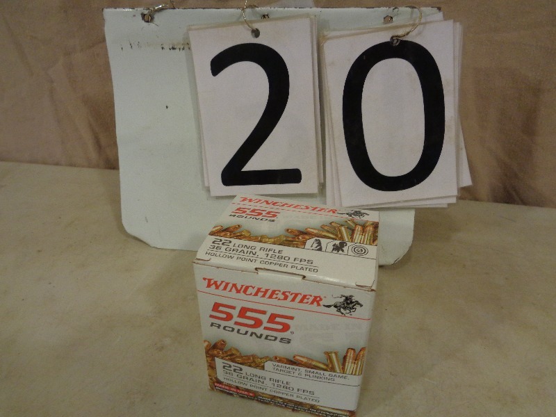 555 Rounds of Wichester 22 LR