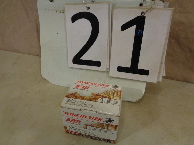 333 Rounds of Winchester 22 LR