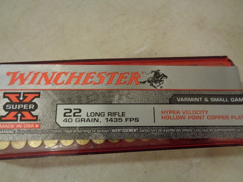 100 Rounds of Winchester 22 LR
