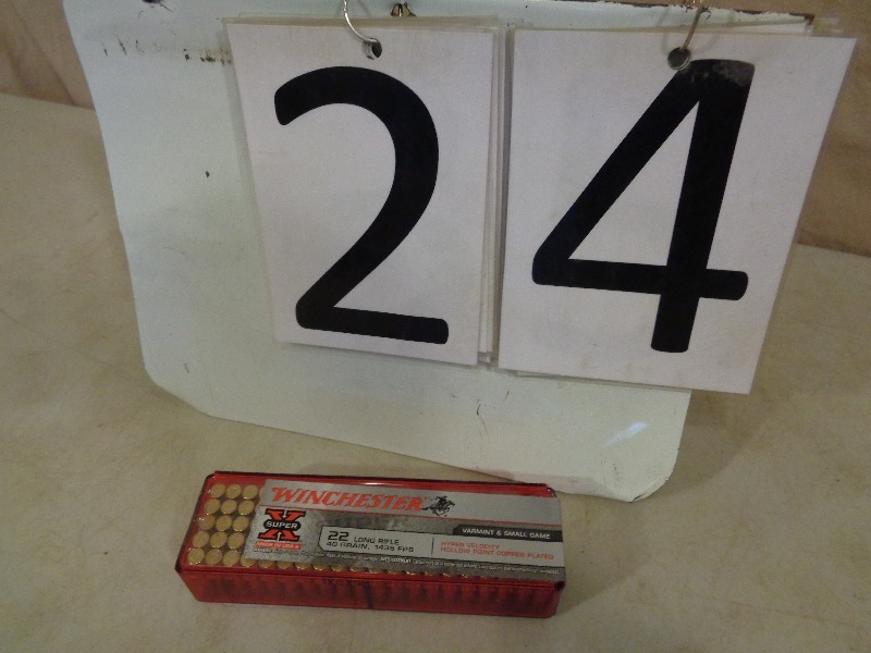 100 Rounds of Winchester 22 LR