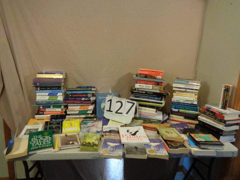 Lot of Assorted Books