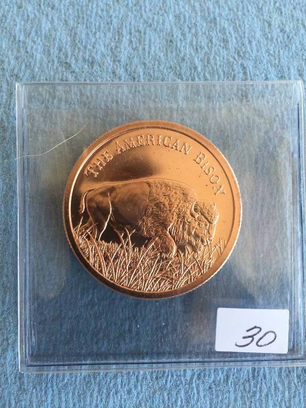 ONE OUNCE .999 COPPER ROUND BISON