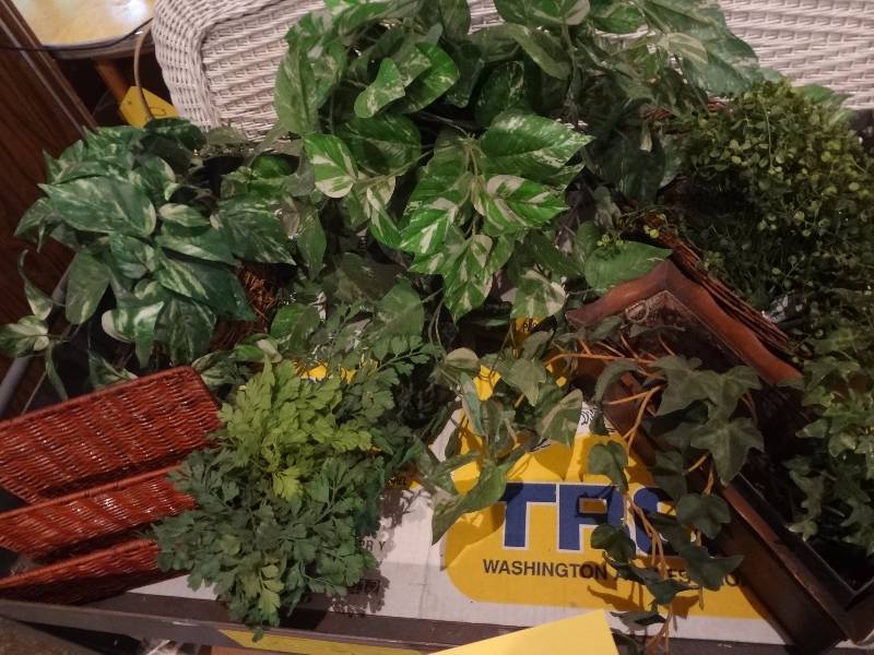 lot 117 image: Fake Plants and Baskets
