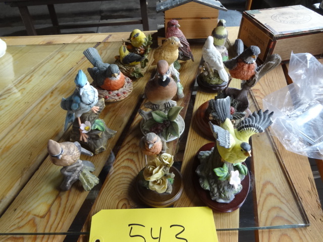 lot 543 image: Birds, Birds, Birds