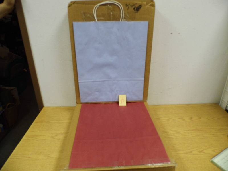 lot 15 image: 2 Cases of Shopping Bags