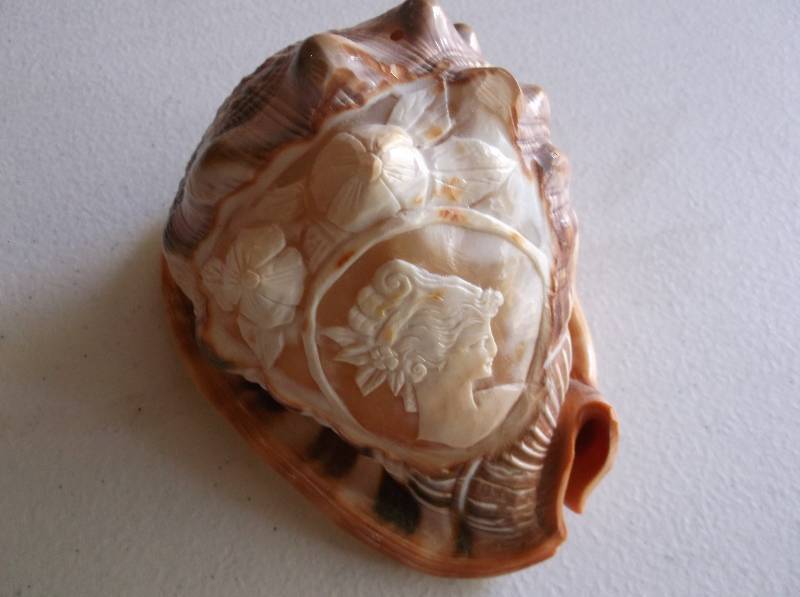 lot 106 image: Seashell