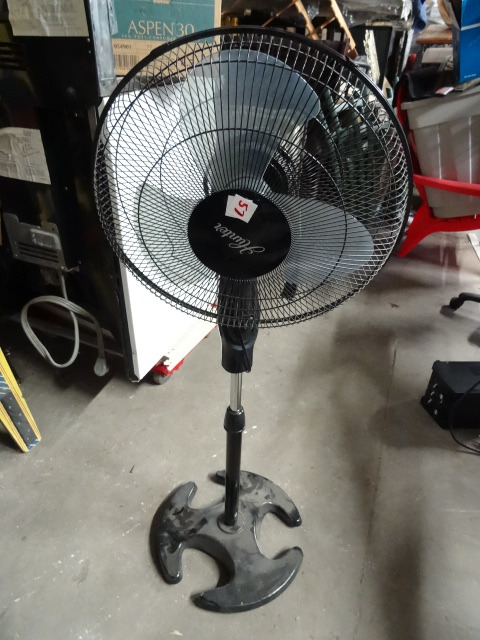 Hunter pedestal fan