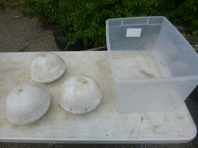 lot 28 image: Ceiling Light Globes.