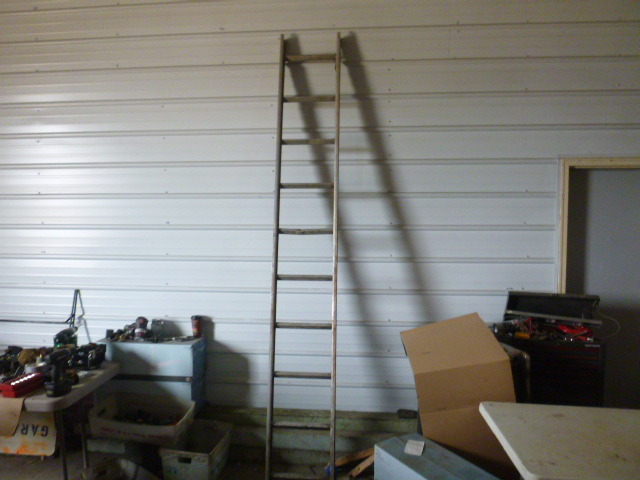 lot 175 image: 10 Ladder