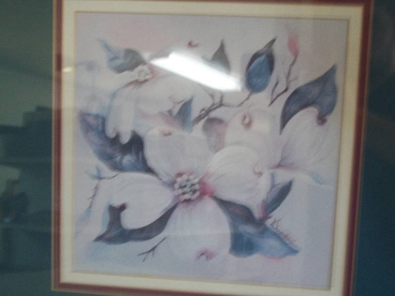 Flower Pictures