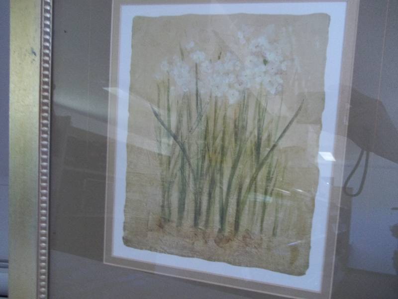 Pictures in Frames