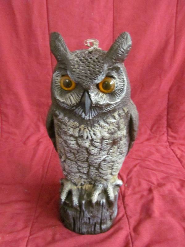 Owl Decoy