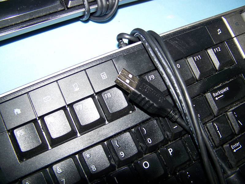 lot 31 image: (2) Dell, Computer Keyboards