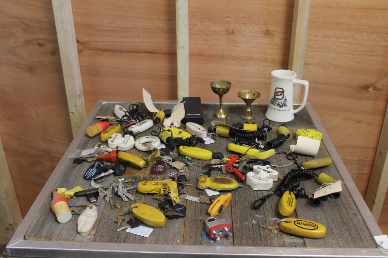lot 216 image: Lot of Boat Key Chains, etc..