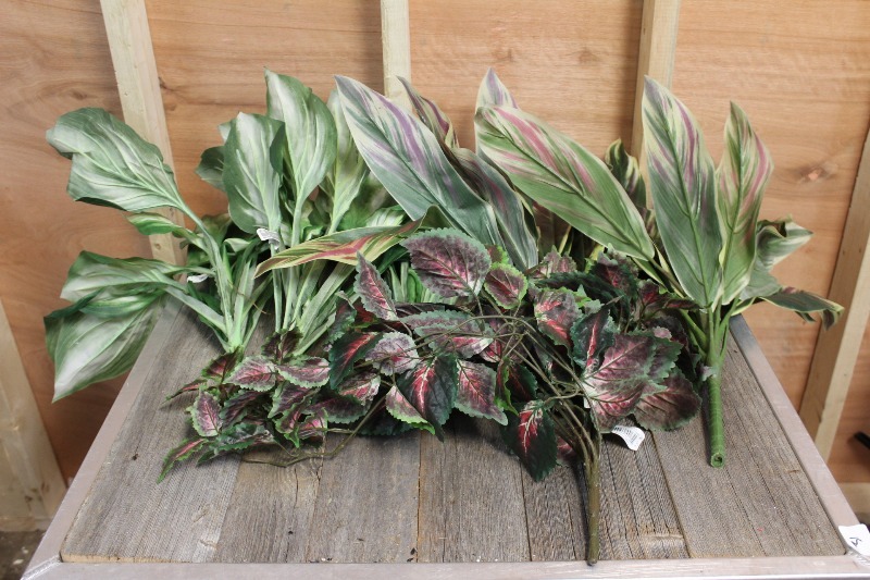 lot 224 image: Decoritive Foilage