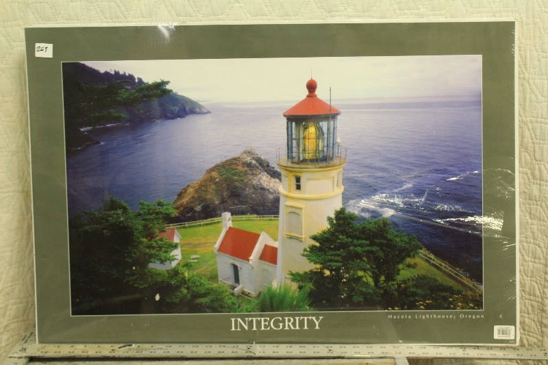 lot 263 image: Integrity Posterboard